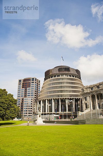 Wellington  Hauptstadt  Pazifischer Ozean  Pazifik  Stiller Ozean  Großer Ozean  neuseeländische Nordinsel  Bienenstock  Neuseeland