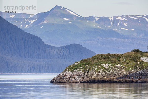 Vereinigte Staaten von Amerika USA Meer Nordamerika Norden Stellersche Seelöwe Eumetopias jubatus Glacier-Bay-Nationalpark