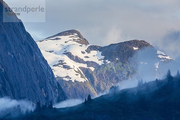 Vereinigte Staaten von Amerika  USA  Baum  Landschaftlich schön  landschaftlich reizvoll  Nebel  Nordamerika  Grauen  Zimmer  Tracy Arm-Fords Terror