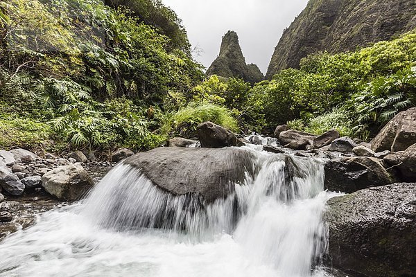 Vereinigte Staaten von Amerika  USA  Tal  Wasserfall  Pazifischer Ozean  Pazifik  Stiller Ozean  Großer Ozean  Hawaii  Maui