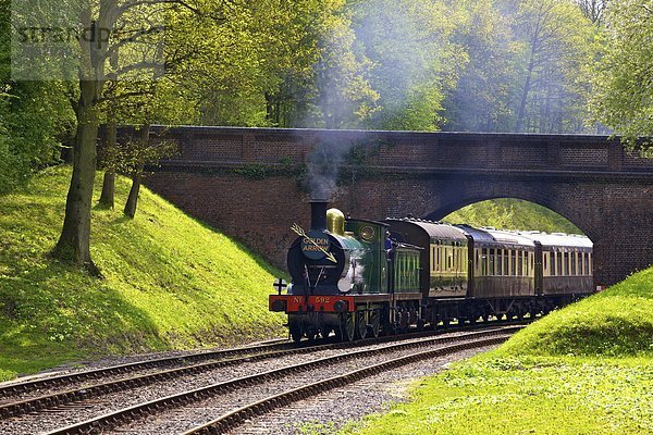 Europa  Großbritannien  England  West Sussex