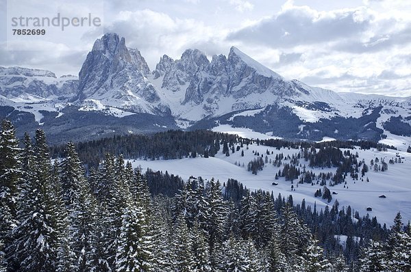 hinter  Trentino Südtirol  Europa  Berg  Schnee  Ski  Ansicht  Zimmer  Dolomiten  Italien