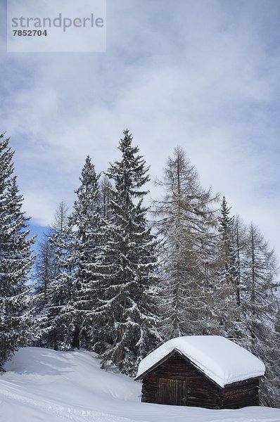 nahe Trentino Südtirol Europa bedecken Wintersportort Dolomiten Italien alt Schnee