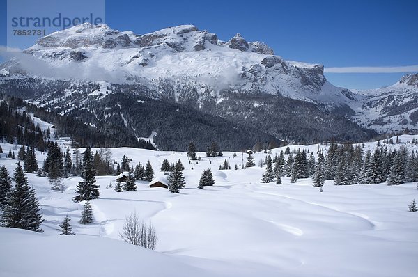 nahe  Trentino Südtirol  Europa  Berg  Frische  Urlaub  Ski  Dolomiten  Italien  Schnee