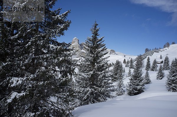 nahe  Trentino Südtirol  Europa  Berg  bedecken  Baum  Urlaub  Ski  Dolomiten  Italien  Schnee