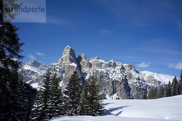 nahe  Trentino Südtirol  Europa  Berg  bedecken  Urlaub  Ski  Dolomiten  Italien  Schnee