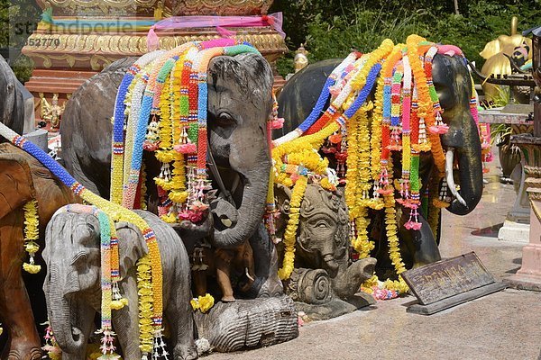 Landschaftlich schön  landschaftlich reizvoll  Elefant  Südostasien  Asien  Phuket  Thailand