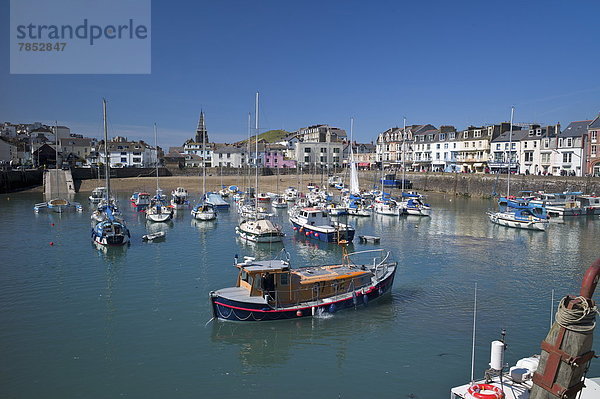 Europa  Großbritannien  Devon  England