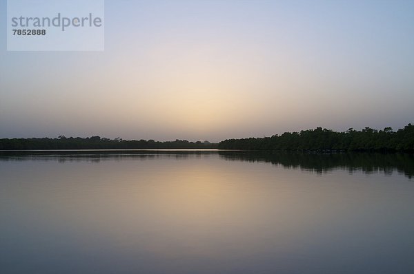 Westafrika  Afrika  Gambia