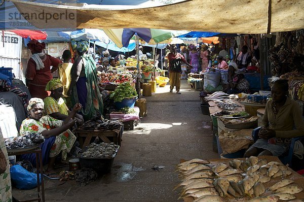 Westafrika  Afrika  Gambia