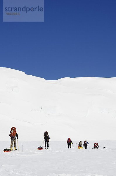 Vereinigte Staaten von Amerika  USA  Nordamerika  Denali Nationalpark  Alaska