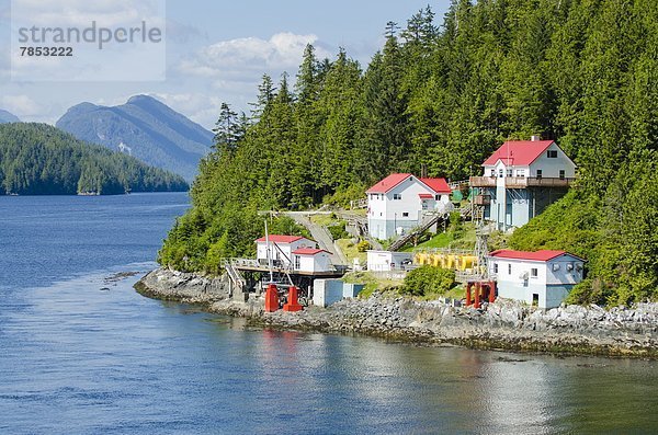 Nordamerika  British Columbia  Kanada