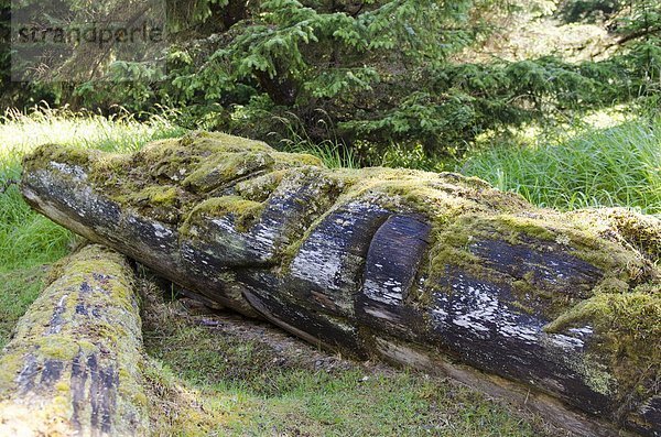 Insel  Nordamerika  Königin  antik  British Columbia  Kanada  Haida