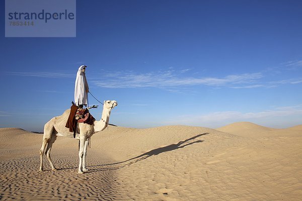 Nordafrika  Afrika  Douz  Tunesien