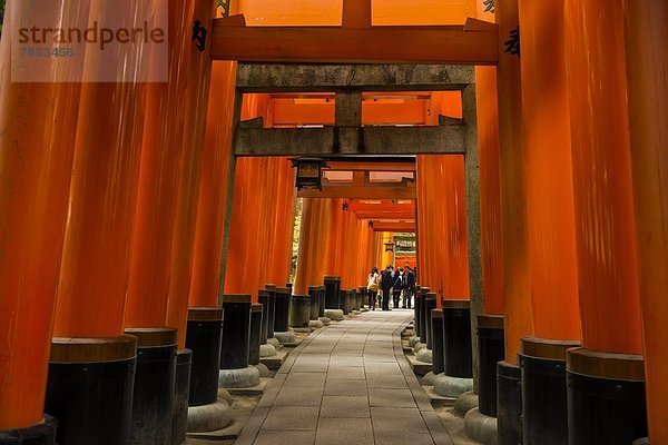 Eingang  rot  Unendlichkeit  Asien  Japan  Kyoto  Schrein