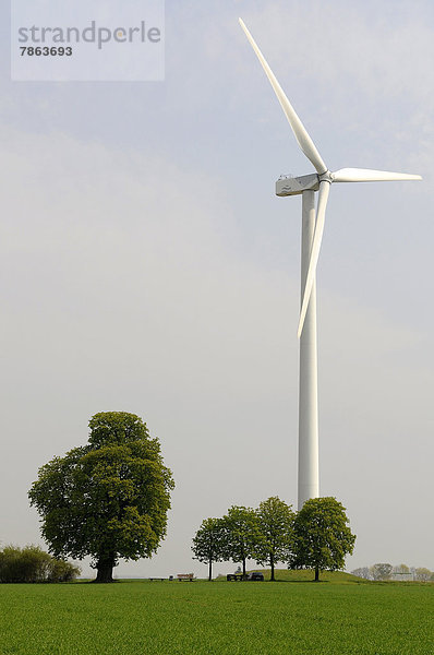Windturbine Windrad Windräder Baum Kastanie Deutschland Hessen