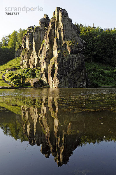 Externsteine  Horn-Bad Meinberg  Teutoburger Wald  Deutschland