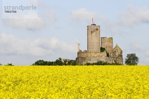 Burg Münzenberg  Münzenberg  Hessen  Deutschland