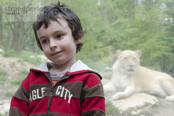 Junge vor Löwenausstellung im Zoo  Porträt