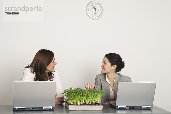 Kollege schaut sich gegenseitig an  Laptop-Computer und Weizengraspflanze auf dem Schreibtisch.