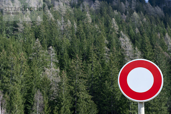 Keine Fahrzeugbeschilderung vor dem Wald