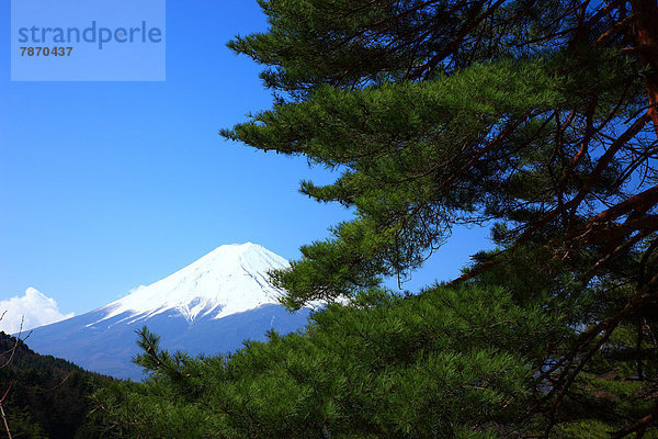 Yamanashi Präfektur