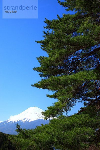 Yamanashi Präfektur