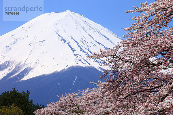 Yamanashi Präfektur