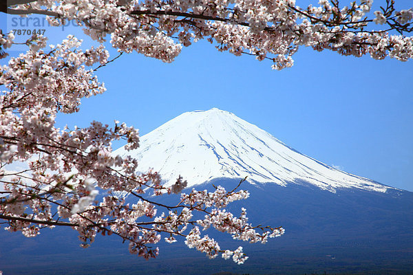 Yamanashi Präfektur