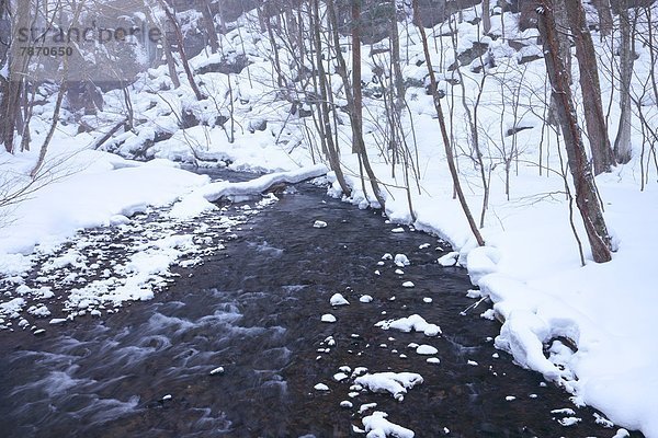 Oirase mountain stream  Aomori Prefecture