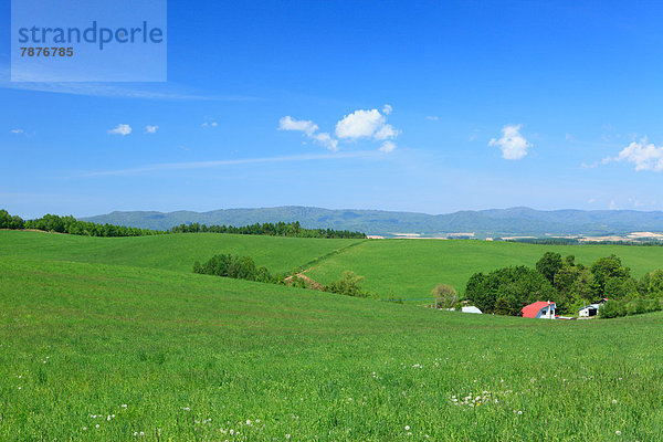 Wolke  Himmel  blau  Wiese  Hokkaido