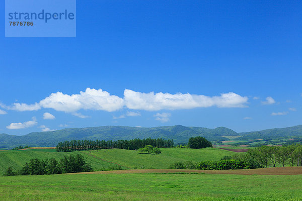 Wolke  Himmel  blau  Wiese  Hokkaido