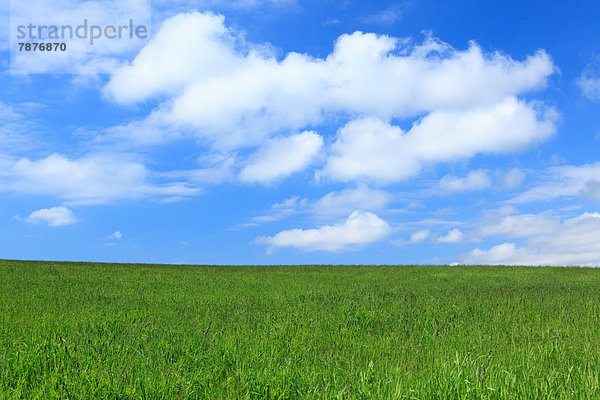 Wolke  Himmel  blau  Wiese  Hokkaido