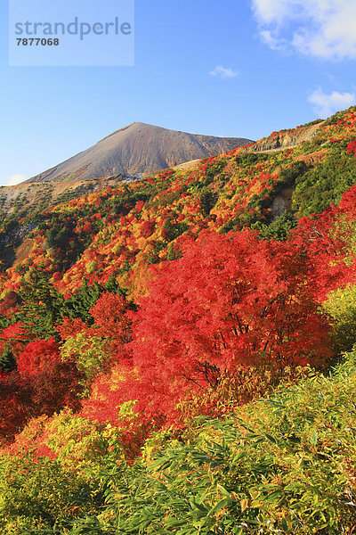 Autumn at Tengu garden  Fukushima Prefecture