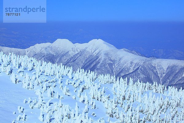 Snow in Zao  Yamagata Prefecture