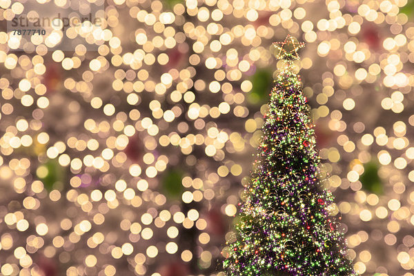 Weihnachtsbaum und Lichter