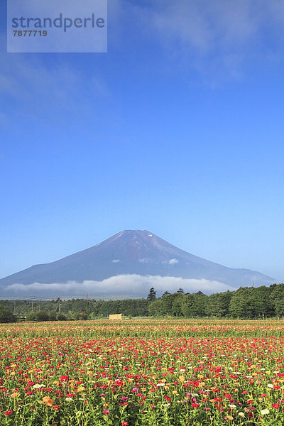 Yamanashi Präfektur