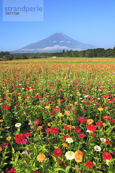 Yamanashi Präfektur