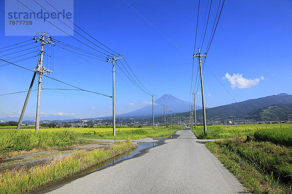 Shizuoka Präfektur