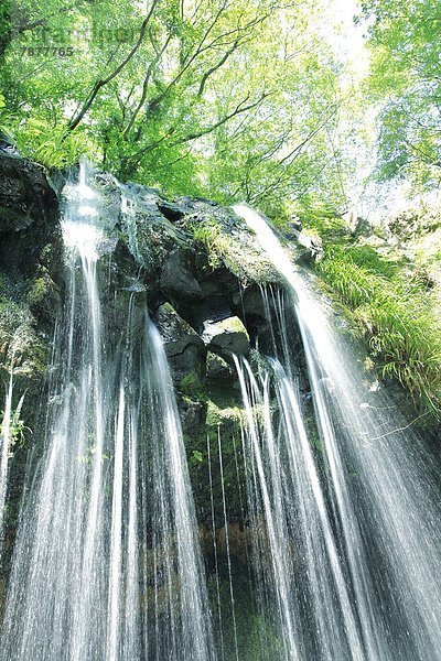 Shizuoka Präfektur