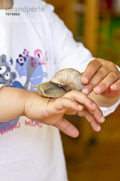 Hand eines Kindes mit Weinbergschnecke