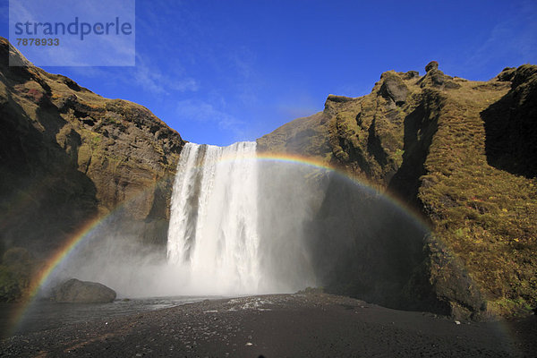 Regenbogen am Wasserfall Skogafoss  Island  Europa