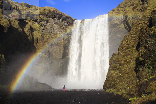 Regenbogen am Wasserfall Skogafoss  Island  Europa