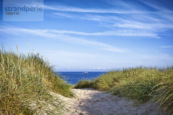 Weg durch die Dünen am Strand von Sylt  Schleswig-Holstein  Deutschland