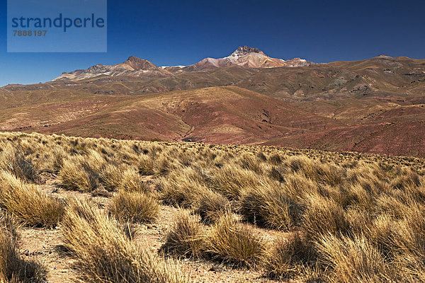 Landschaft im Reserva Nacional de Fauna Andina Eduardo Abaroa  Anden  Bolivien