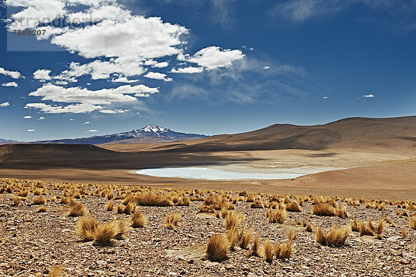 Landschaft im Reserva Nacional de Fauna Andina Eduardo Abaroa  Anden  Bolivien