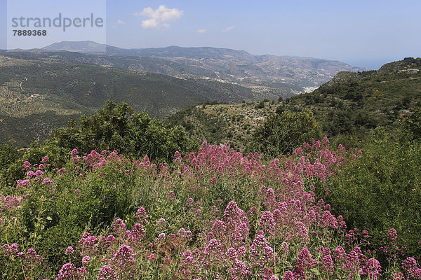 Ausblick vom Berg Monte Sant'Angelo