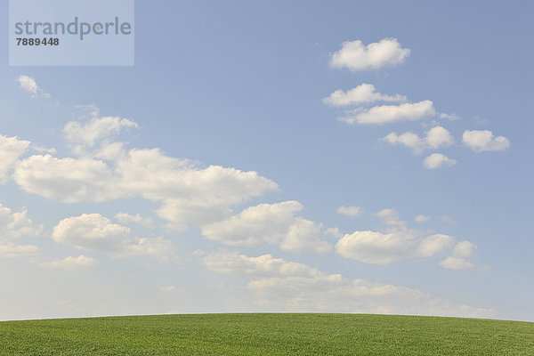 Grünes Feld  blauer Himmel mit Wolken