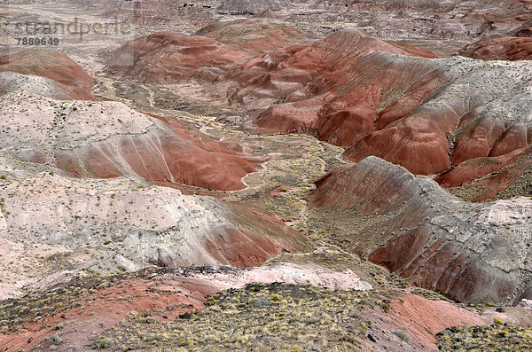 Painted Desert  Hügellandschaft  Wüstenlandschaft  Ausblick vom Tawa Point