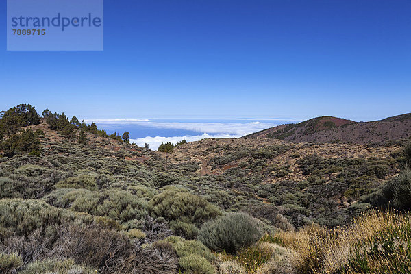 Landschaft im Teide-Nationalpark  UNESCO-Weltnaturerbe